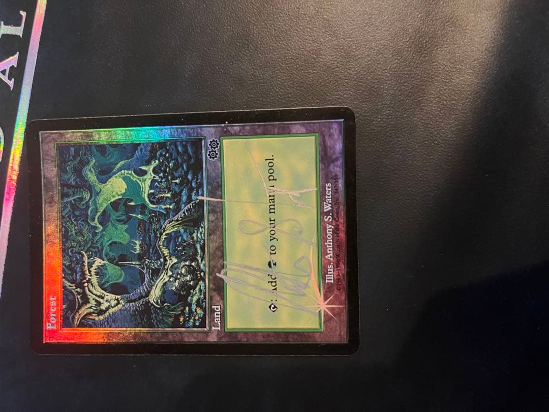 MTG 【USG】　Forrest アリーナfoil サインド