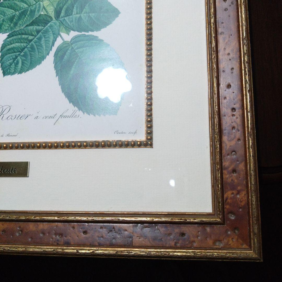 ① ルドゥーテ 絵額 レ ローズ バラ図譜 フォリオ判 銘木調フレーム 額 絵