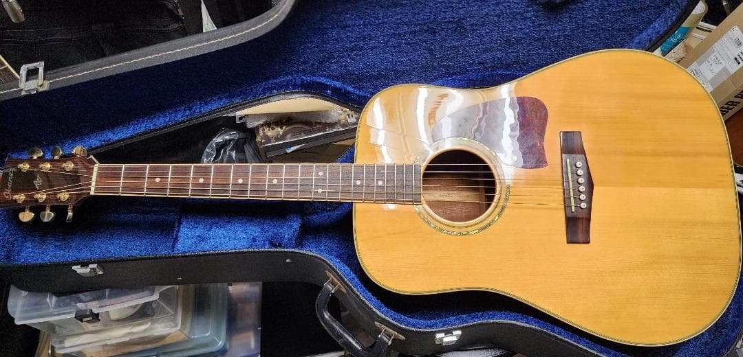 Ibanez AW100 アコースティックギター ハードケース付き