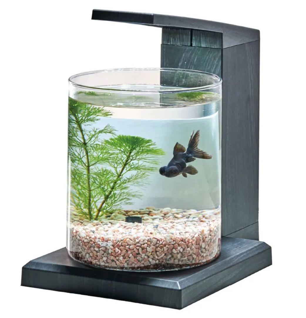 GEX グラスアクア ペルコ（PERCO ）C-Charcoal Black