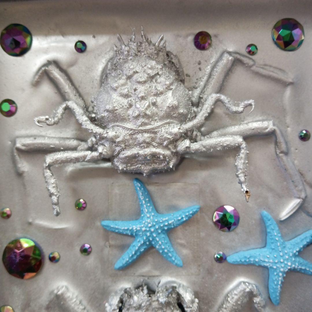 平家怨霊人面蟹稀少レア平家蟹鬼面蟹ペア二点凹凸リアル立体標本飾り置物コレクション