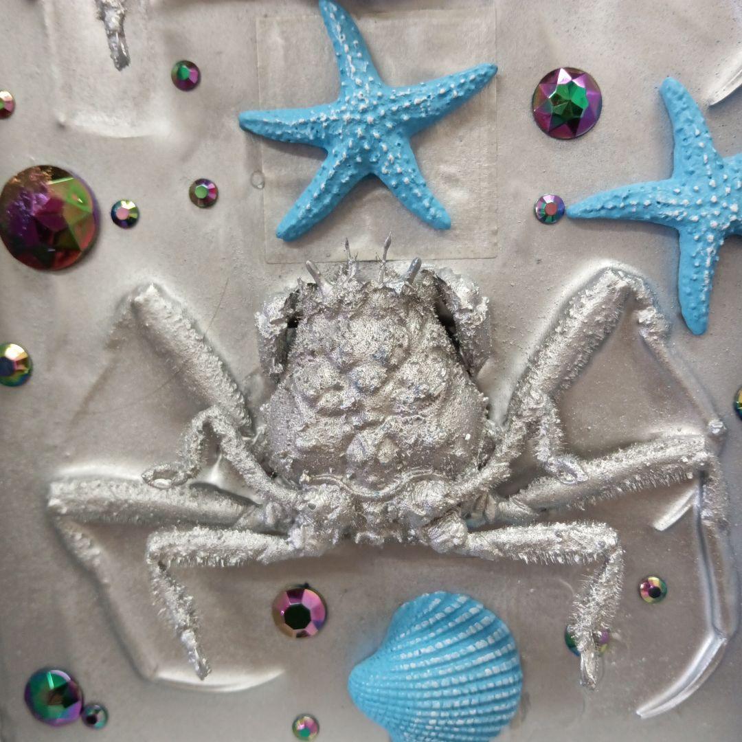 平家怨霊人面蟹稀少レア平家蟹鬼面蟹ペア二点凹凸リアル立体標本飾り置物コレクション