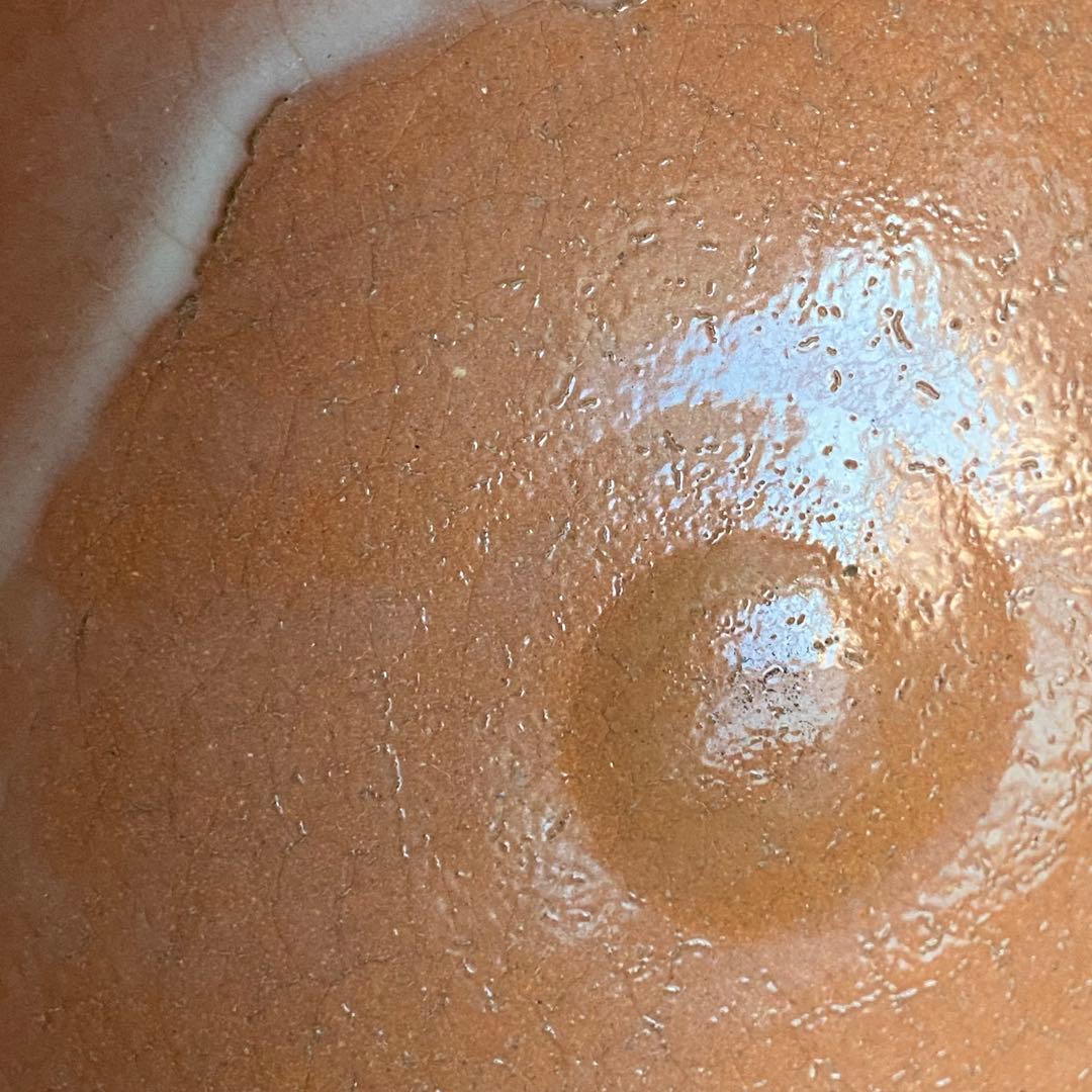 中里嘉孝　唐津皮鯨茶盌 / 唐津焼　皮鯨茶碗　共箱・共布有り