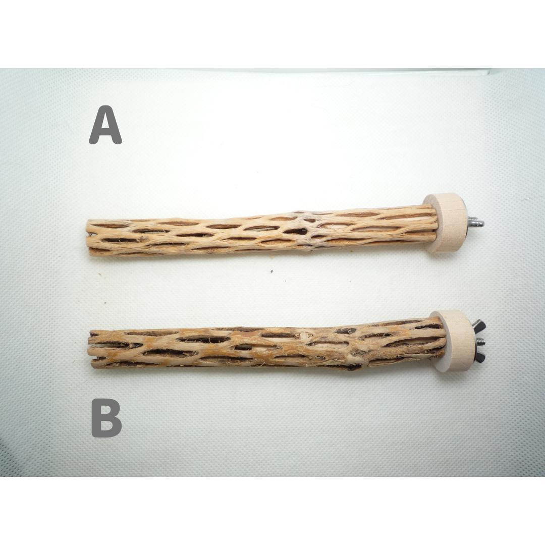 ⭐︎Diamond★　おまとめ　カクタスパーチ　３本