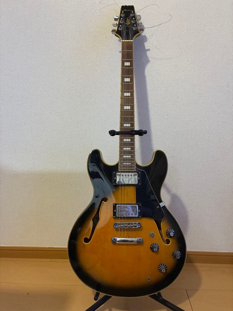 Aria Pro II TA-62C ソフトケース付き