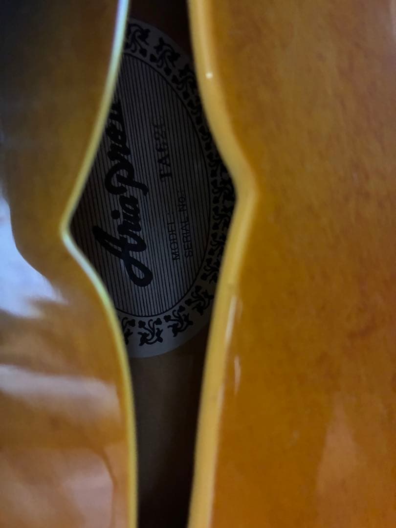 Aria Pro II TA-62C ソフトケース付き