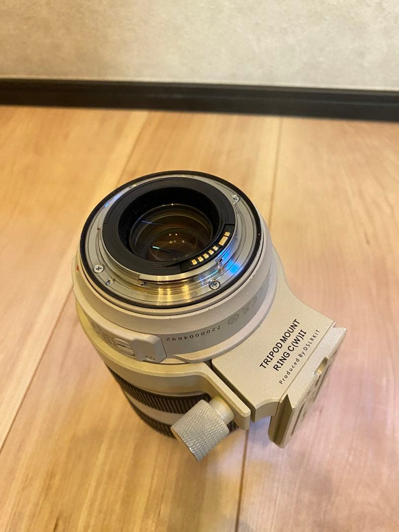 レンズ(ズーム) Canon EF 70-300mm f/4-5.6 L IS USM