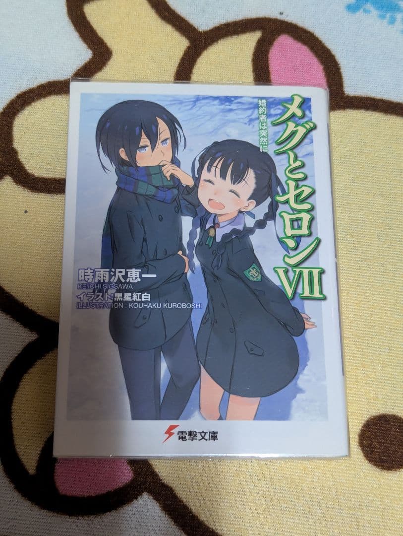 時雨沢恵一先生作品まとめ売り