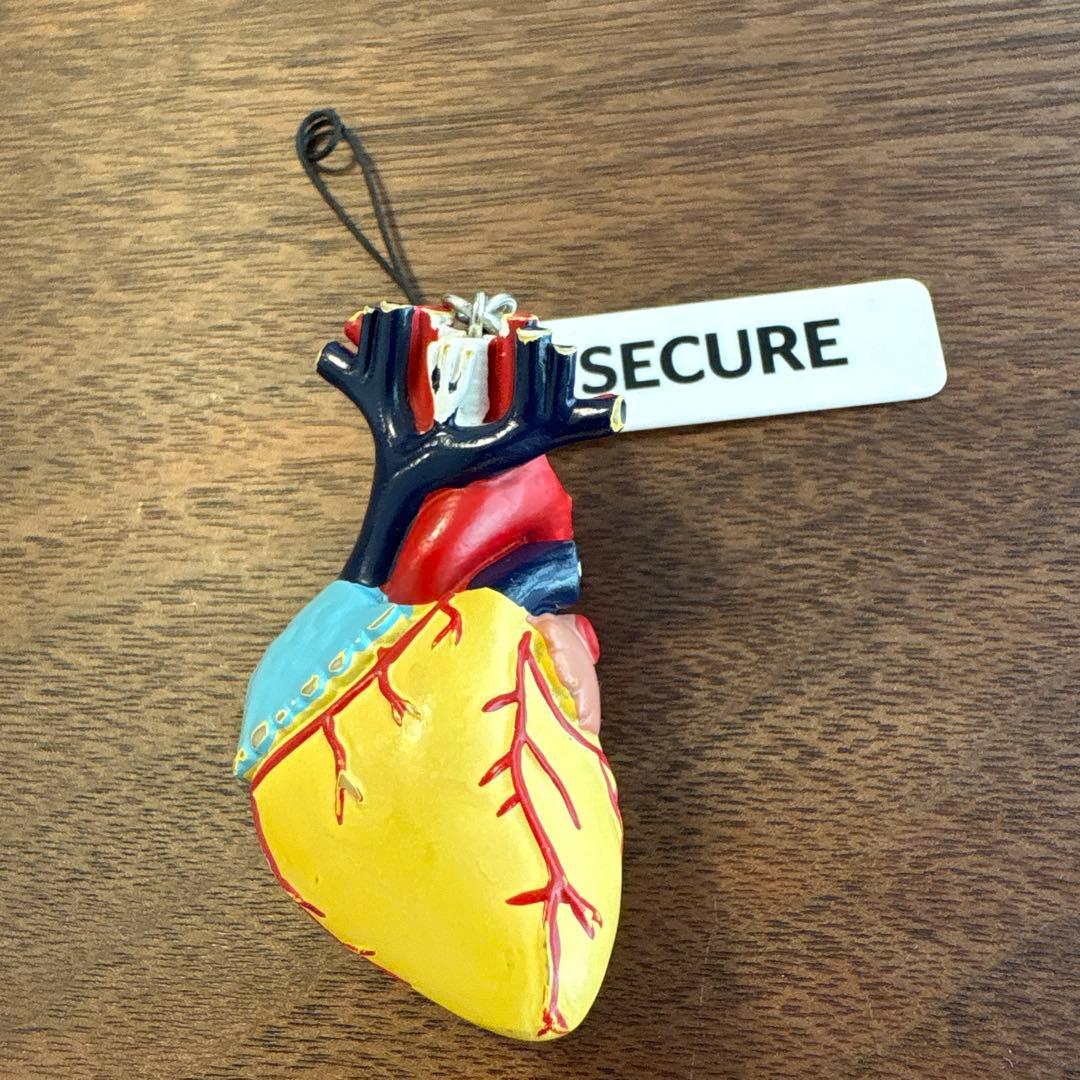 エチコン　臓器ストラップ