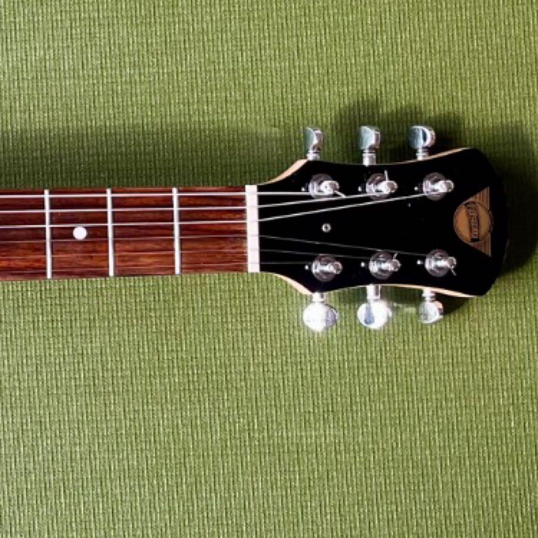 PIGNOSE ピグノーズ アンプ内蔵ミニギター