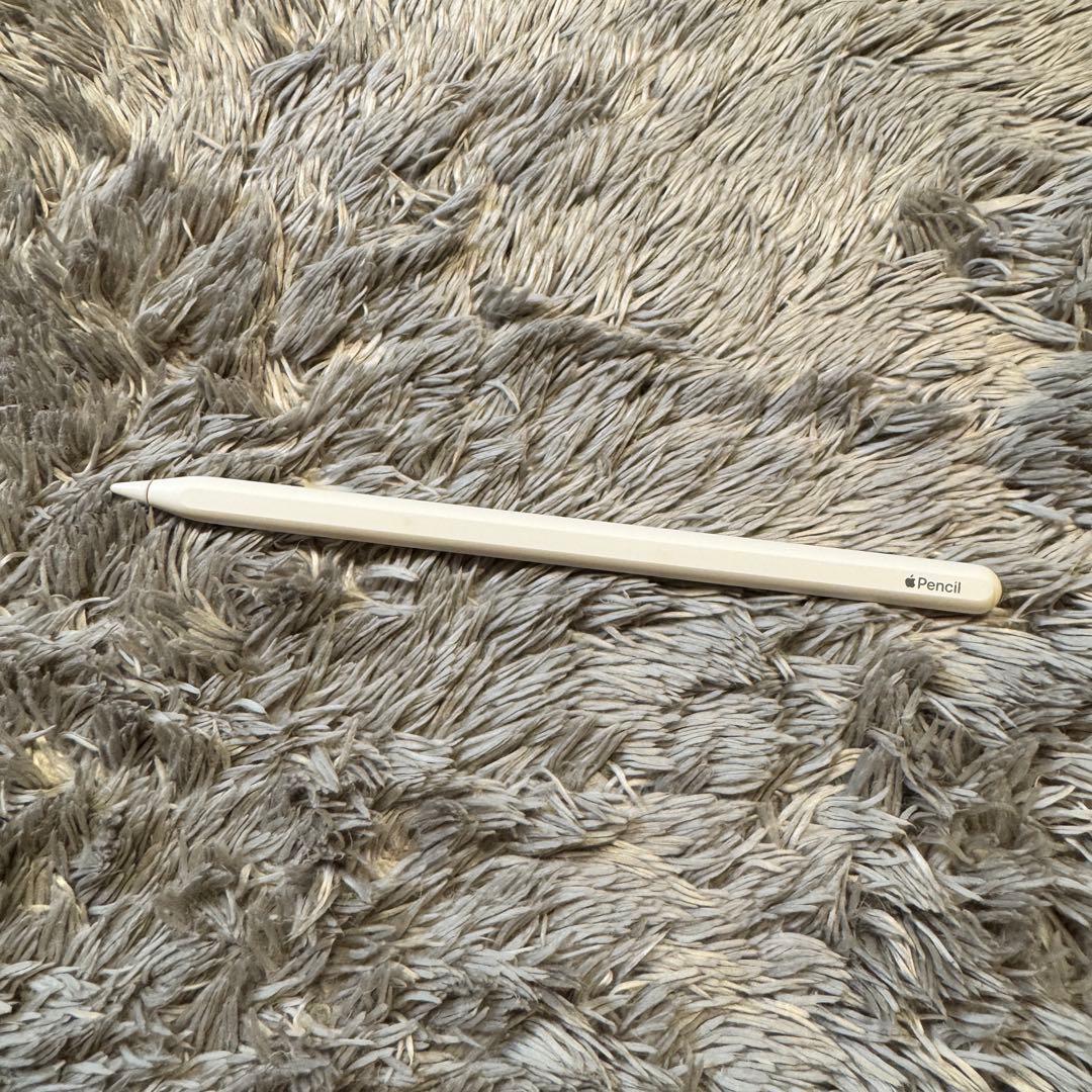 【期間限定】iPad Pro 12.9 Cellular 2TB ＋周辺機器