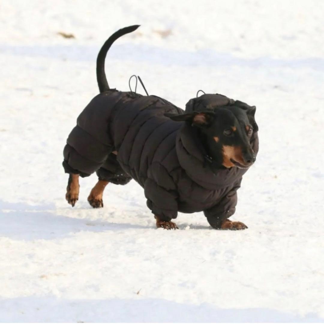 SSOOOK グースフィールダウンカバーオール2ダックスフント用