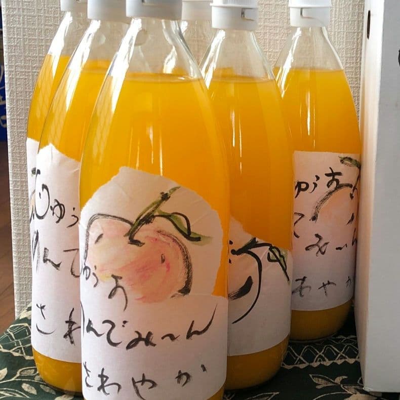 優婆夷・猟師愛媛みかん100%丸搾りジュース12本減農薬栽培