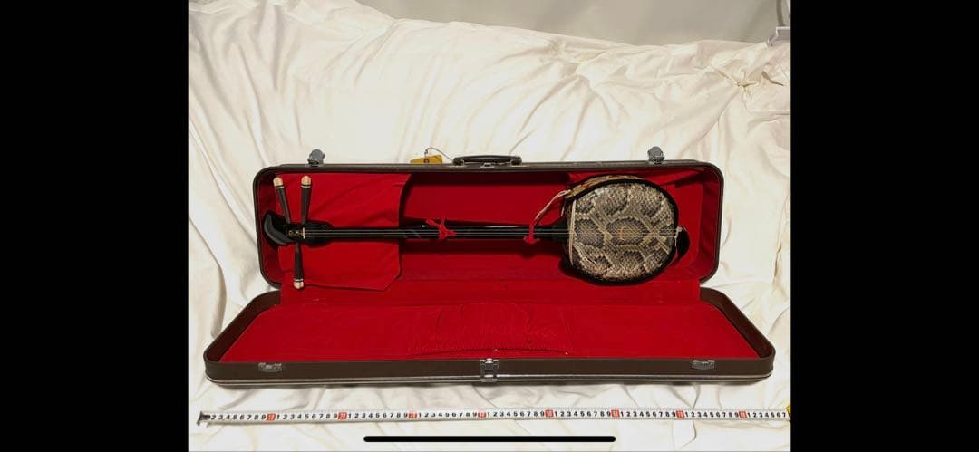 三線 ヘビ皮 2本　ケース付き　難あり