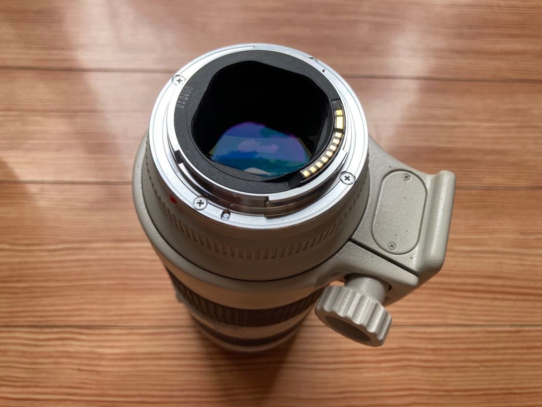 レンズ(ズーム) Canon EF 70-200mm f/2.8L USM