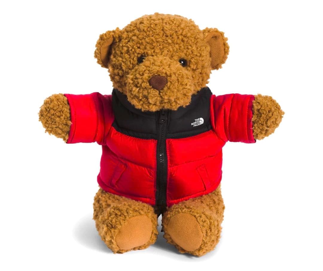 THE NORTH FACE ヌプシベアー