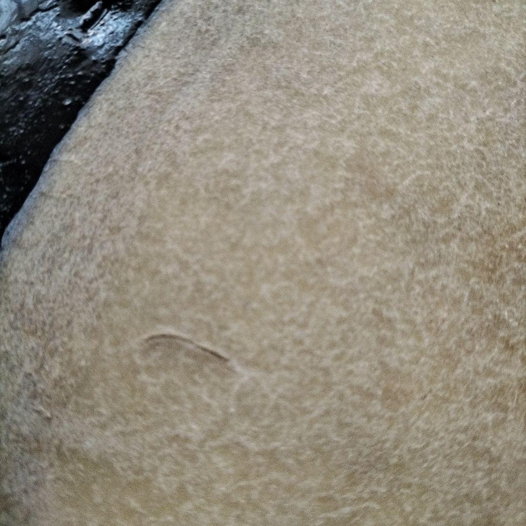 「なお様ご依頼商品」担ぎ太鼓　締太鼓　和太鼓 　天然皮革　ストラップ付中古品⑧