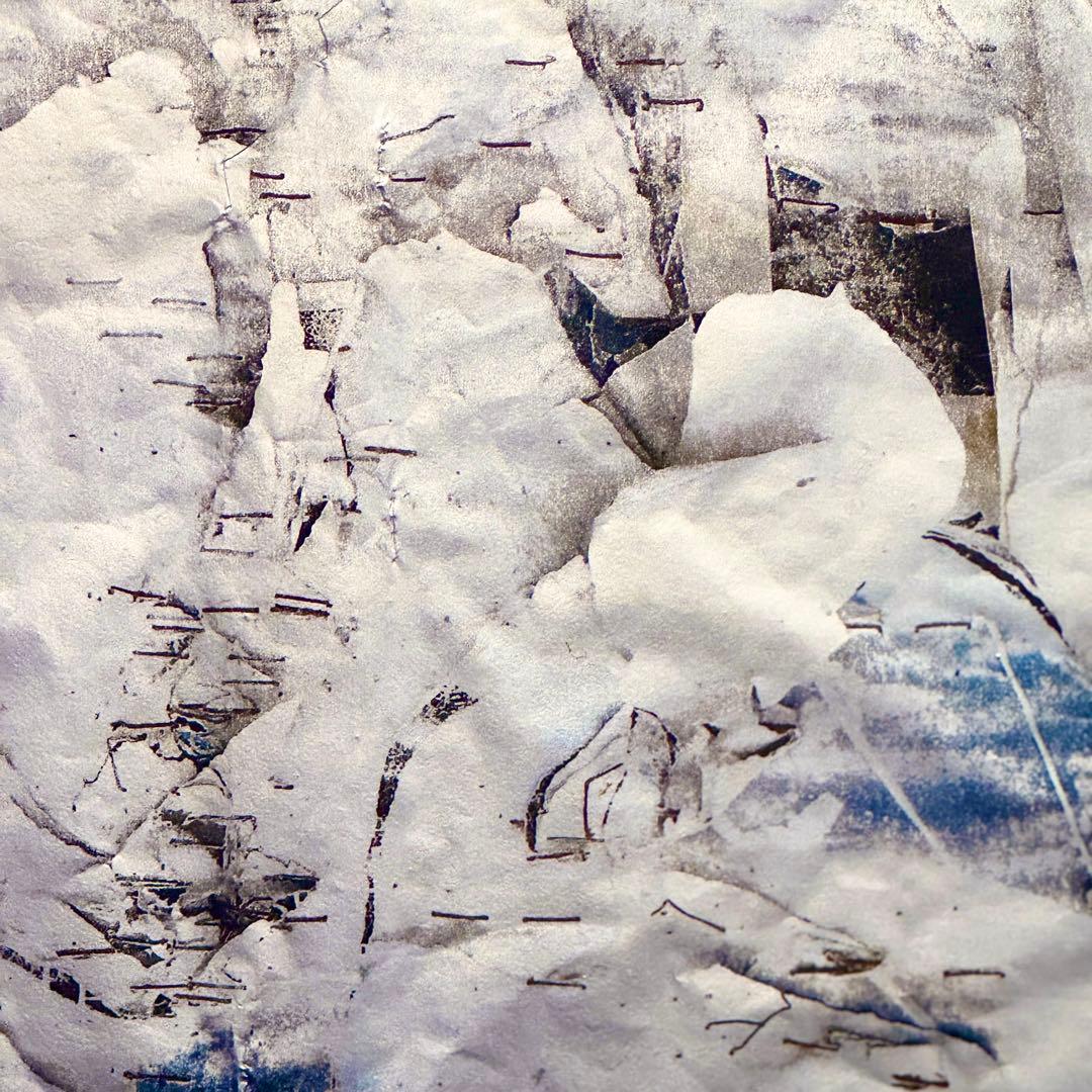 【新ジャンル誕生】Reflect-Print｜現代アート✖️山水画