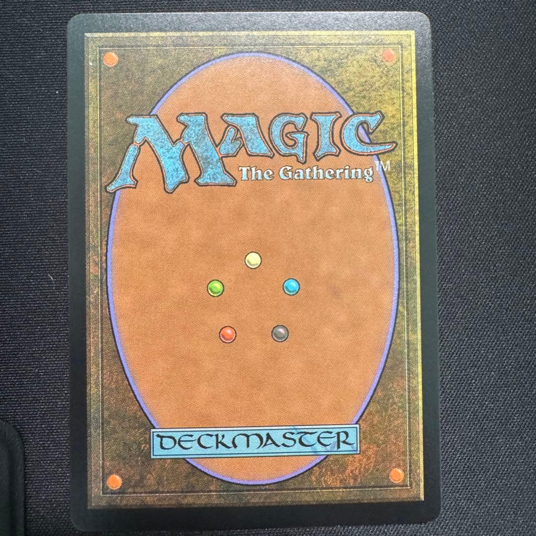 霧深い雨林 EXP foil / Misty Rainforest