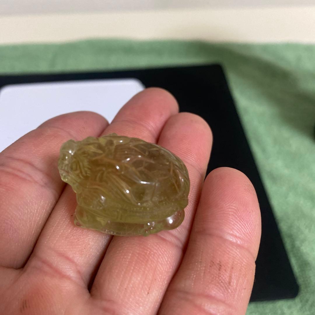 リビアングラス　龍亀(ロングイ)