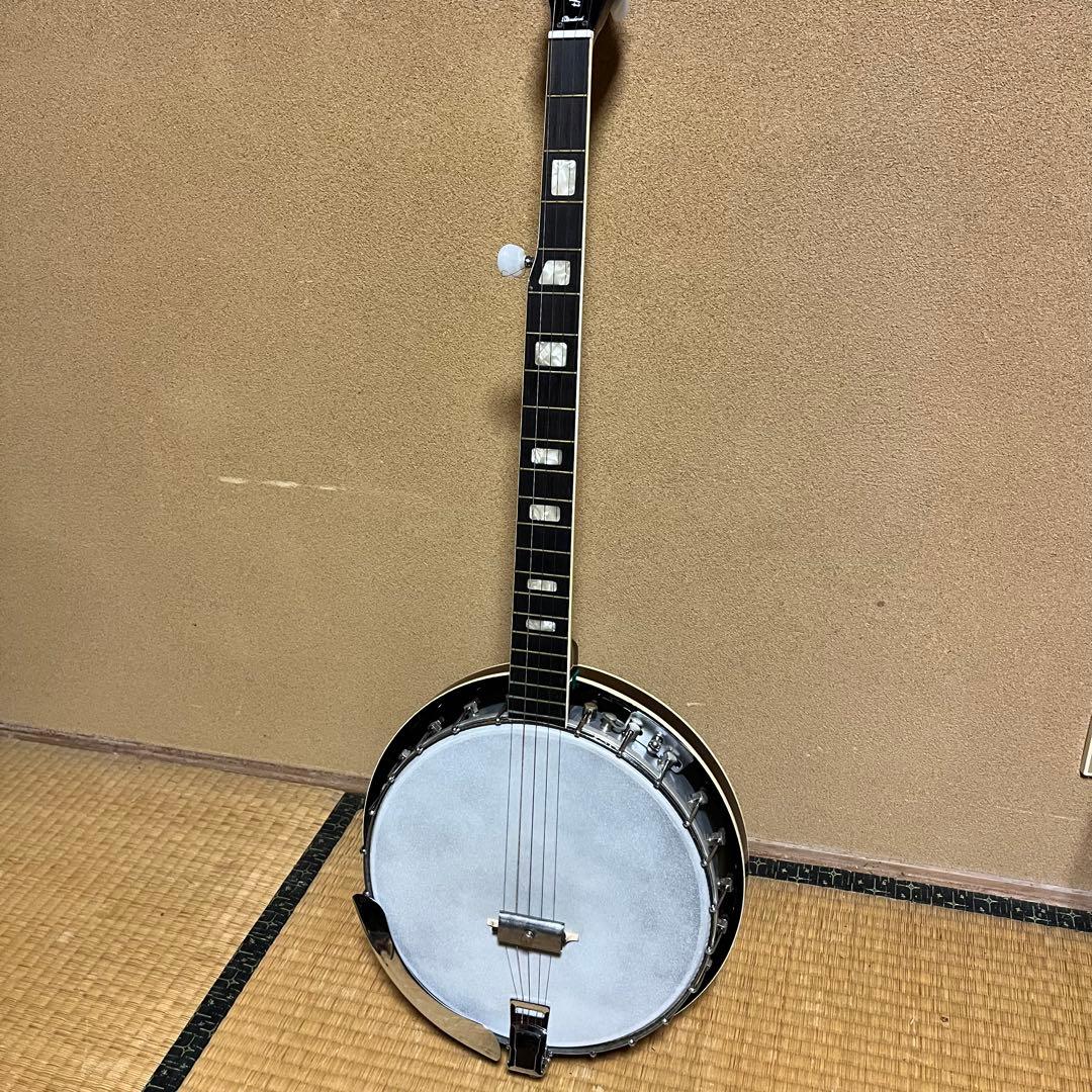 心*証様 BANJO TENESY バンジョー　５弦