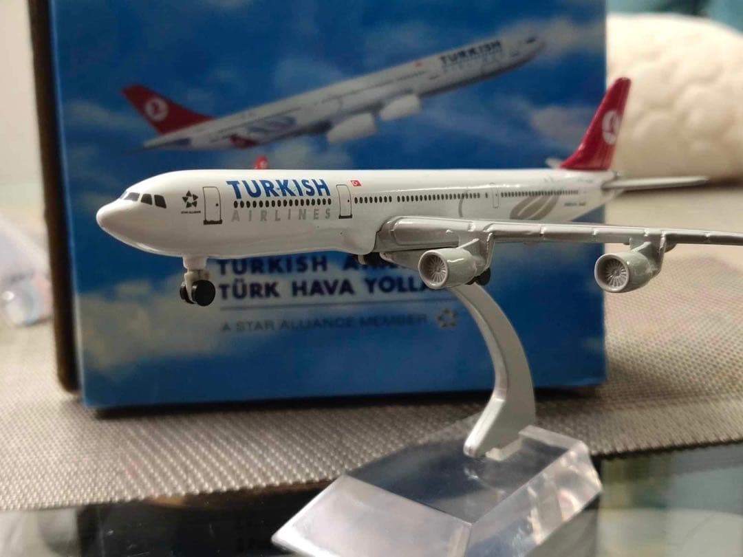 ターキーの飛行機