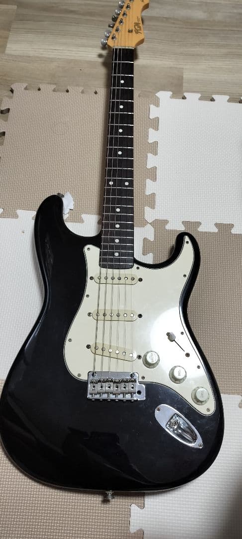 ギター Fujigen Neo Classic Series NCST-20R