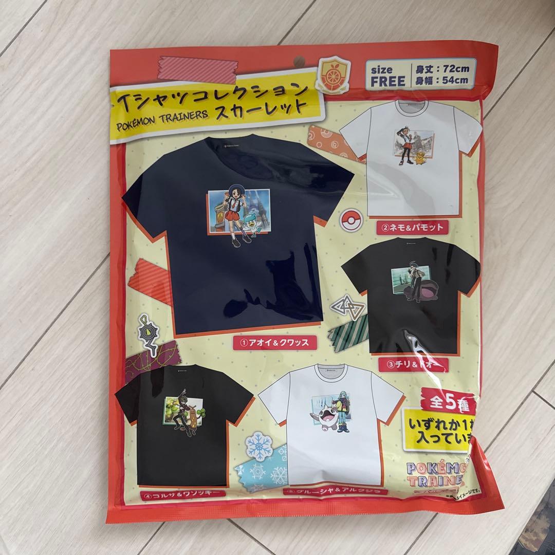 ピカピカボックス2026 金のコイキング 新品未使用