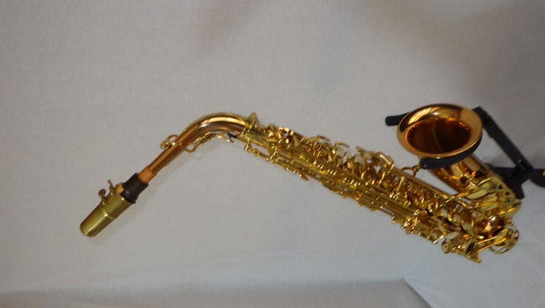 YANAGISAWA アルトサックス ヤナギサワ A-WO20