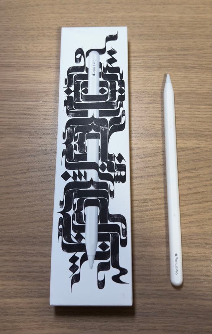 Apple iPad Pro 13 インチ (M4) アップルペンシル