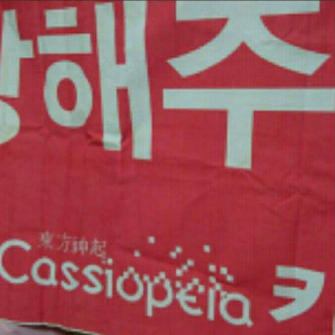 東方神起★レア★韓国FC Cassiopeia ～O～正反合 応援タペストリー
