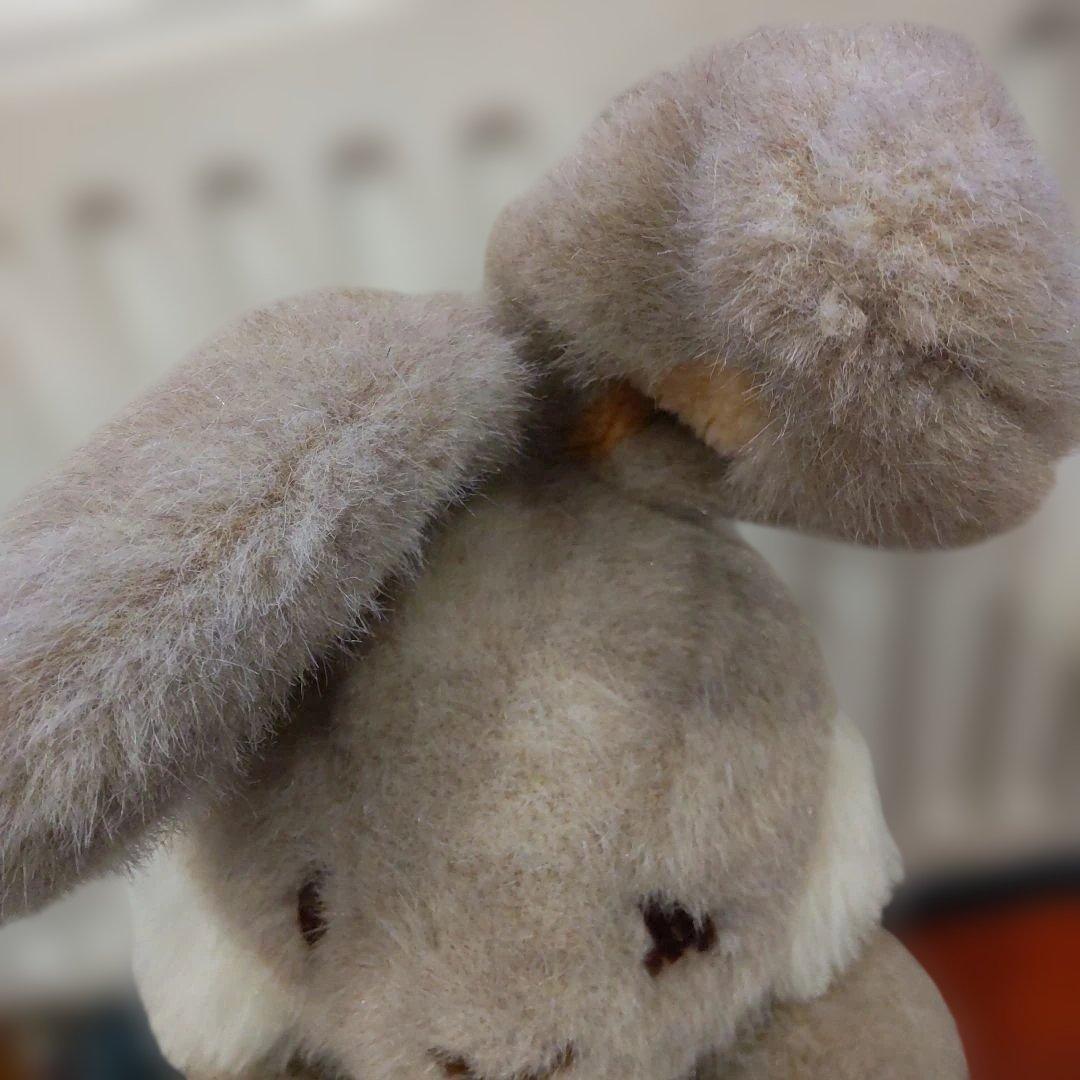 ファースト社　オリジナルペット こぐまのファンファンのうさぎ？　日本製