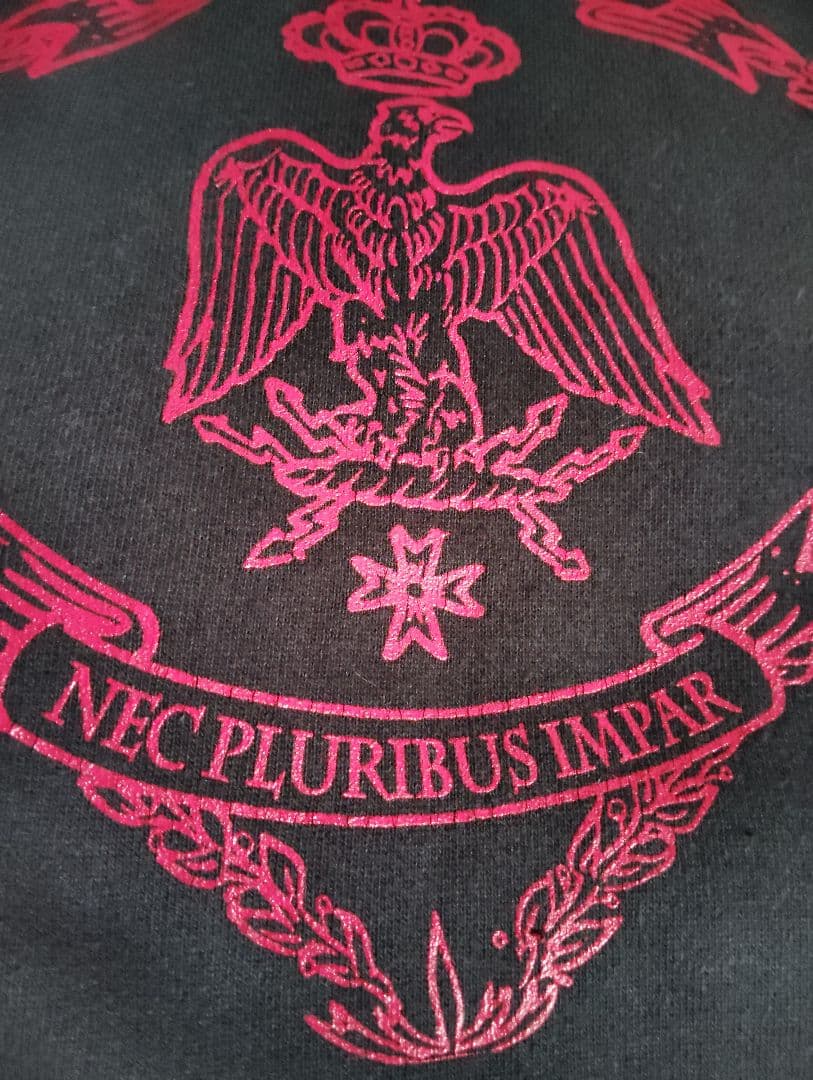 PHOENIX ロゴ刺繍 黒パーカー ヴィンテージ バンドT ダフト・パンク