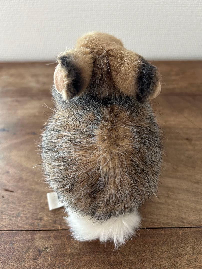 ケーセン　野うさぎ