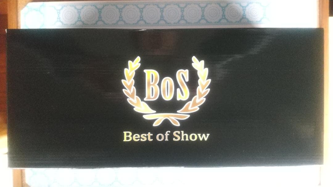 ミニカー BoS Buick Century Caballero Estate 1:18