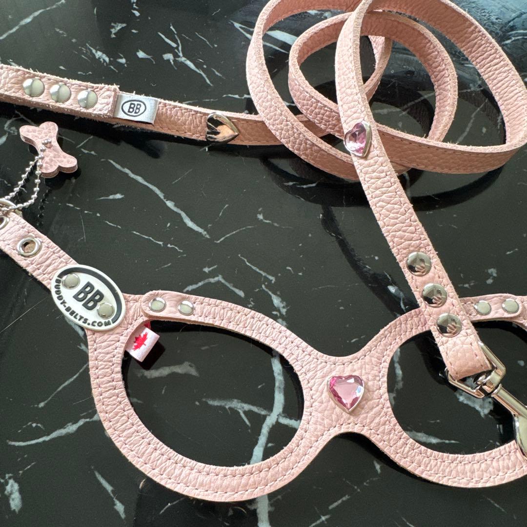 ❁ Lav ❁ バディーベルト　 ハーネスとリード ４点セット