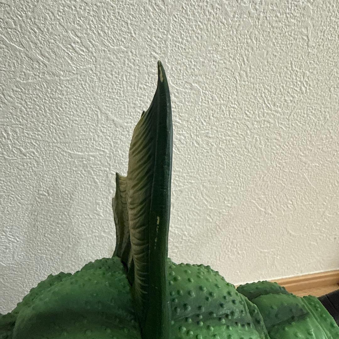 一番くじ ドラゴンボール VSオムニバスZ ラストワン　ポルンガ