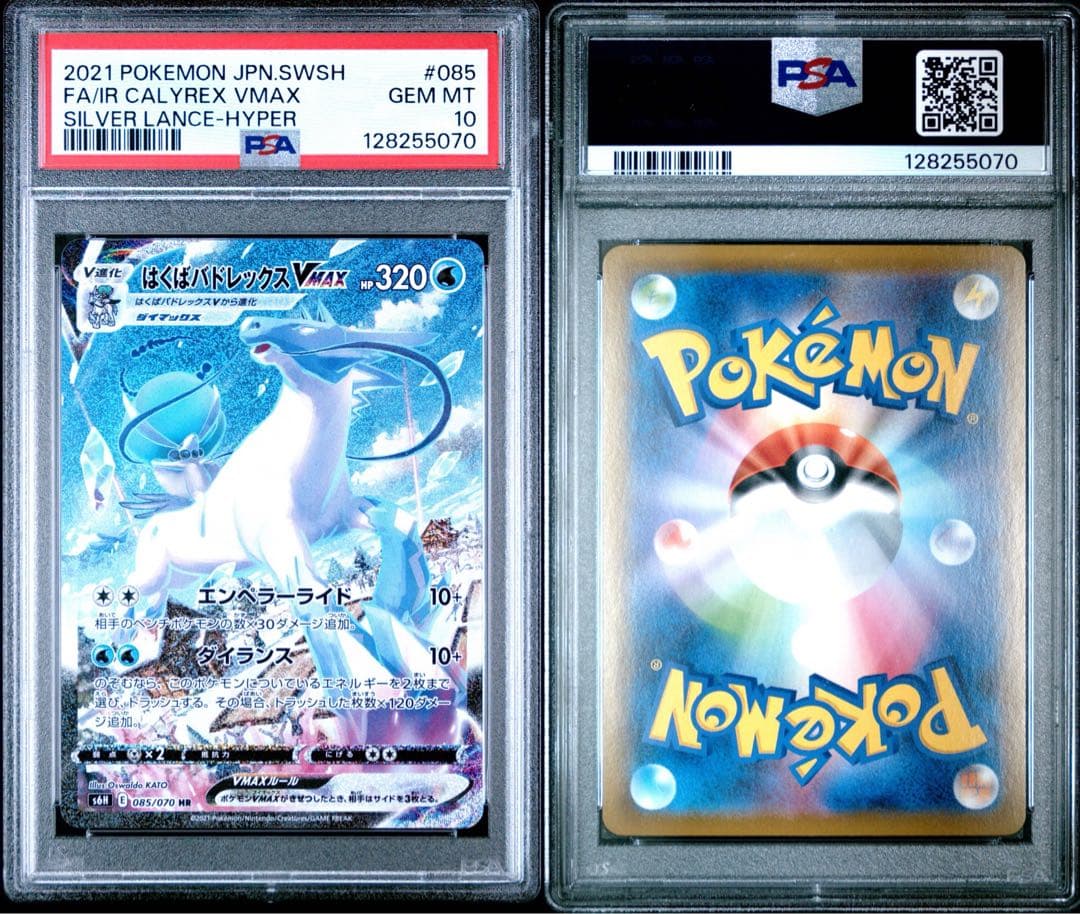 希少(PSA10)世界2000枚弱はくばバドレックスVMAX HR