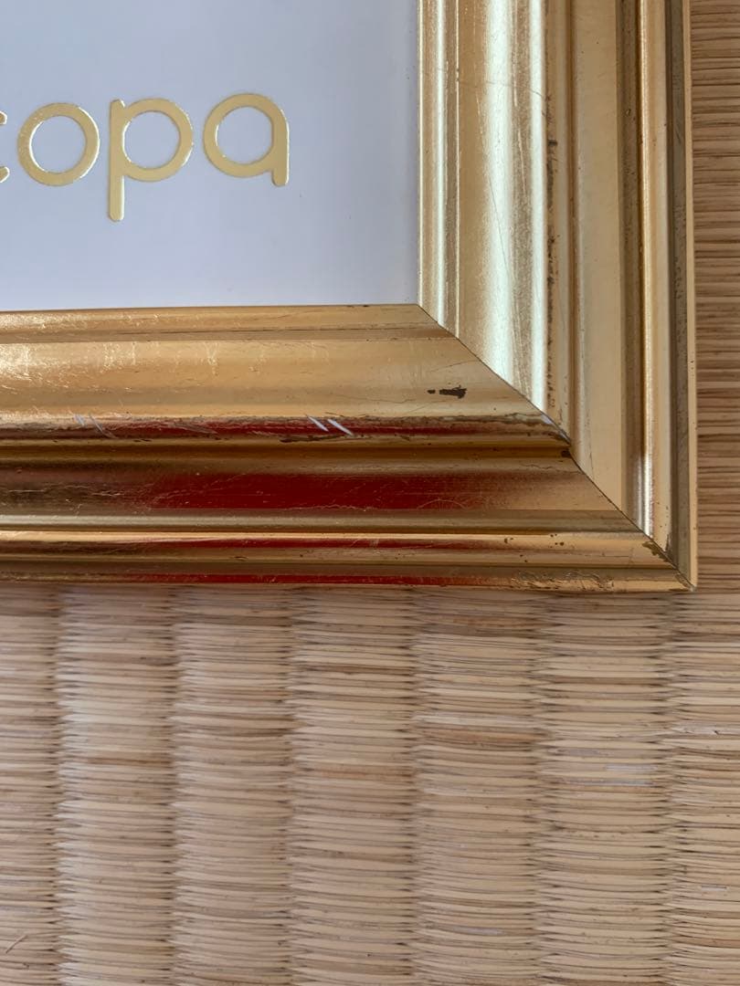 レスリーセイヤー　フォーチュンルーム　DRコパ