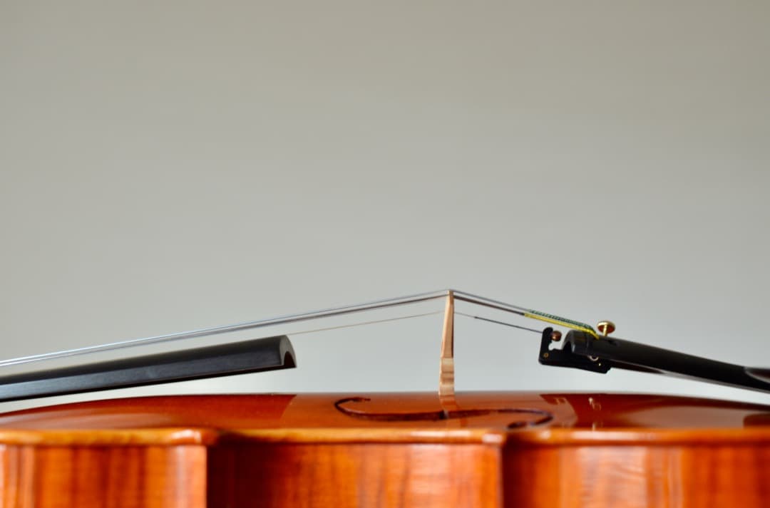 本体のみ【超美品】スズキ バイオリン No.540 4/4 2017年製