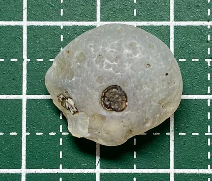 京都府産　髑髏石　しゃれこうべ　ドクロ　瑪瑙　国産鉱物　標本　原石