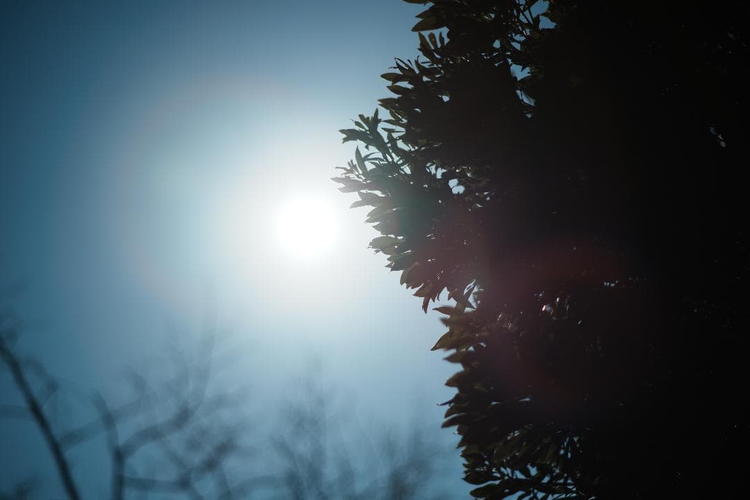 【整備＆テスト済】Minolta New MD 85mm F2 985