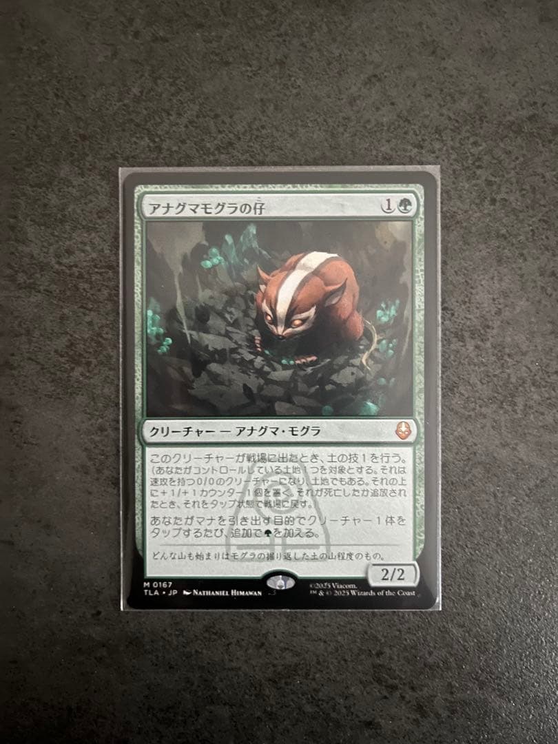 MTG マジック ザ ギャザリング アナグマモグラの仔 日本語 1枚 非foil