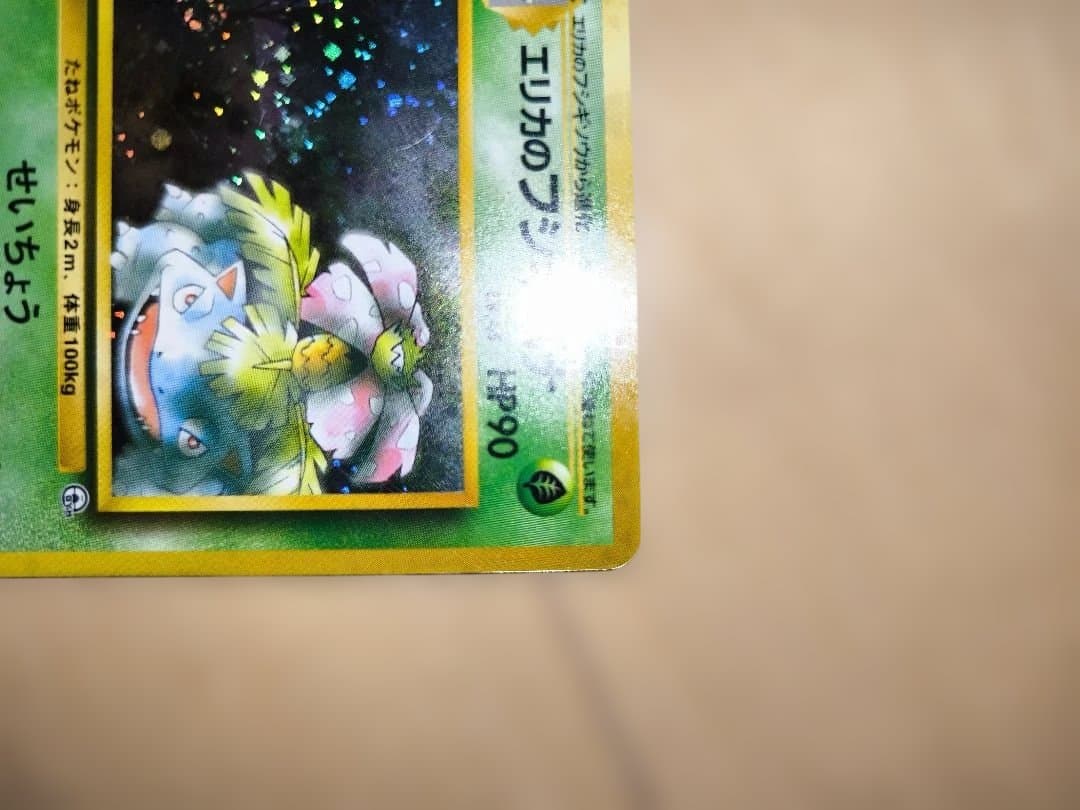 【旧裏面/限界値下げ】No.003[★]エリカのフシギバナ　2枚セット