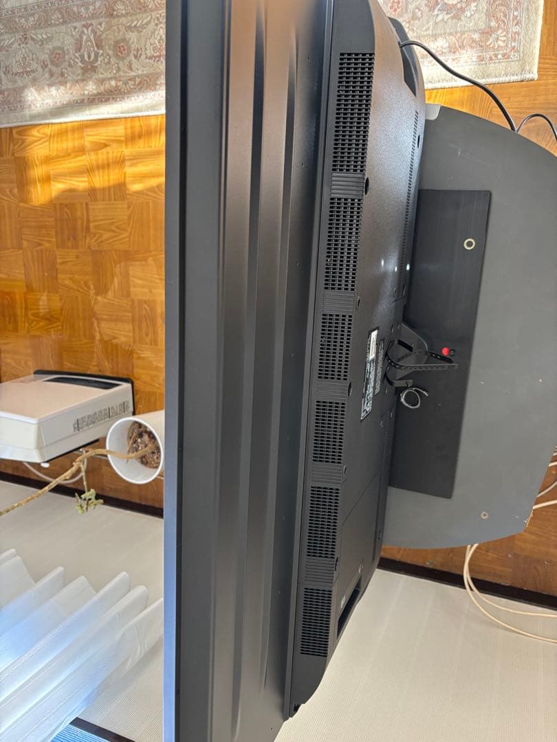 女性オーナーPanasonic 43型液晶テレビ 4K TH-43MX900