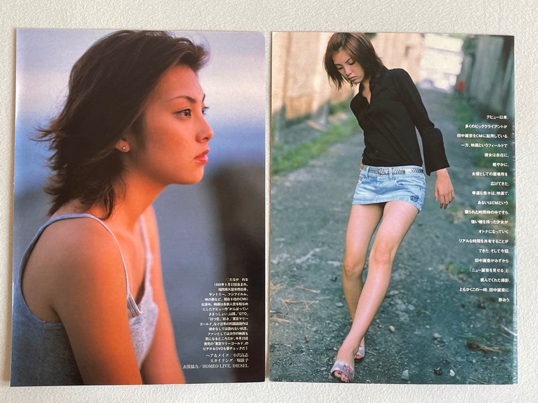 田中麗奈　抽プレ　サイン入り映画　よなよなペンギン　パンフレット、写真集、切取り