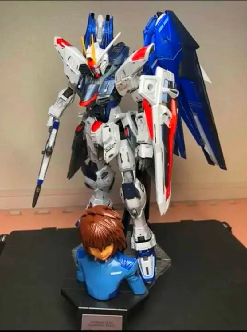 MG フリーダム、ジャスティス、プロビデンス　スペシャルコーティング　無塗装