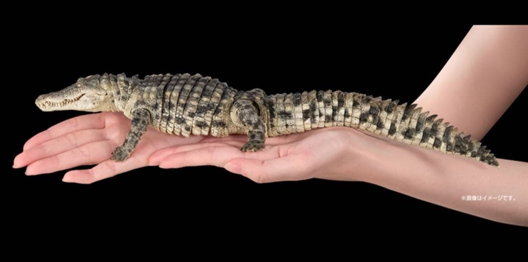 いきもの大図鑑アルティメット　ナイルワニ　新品
