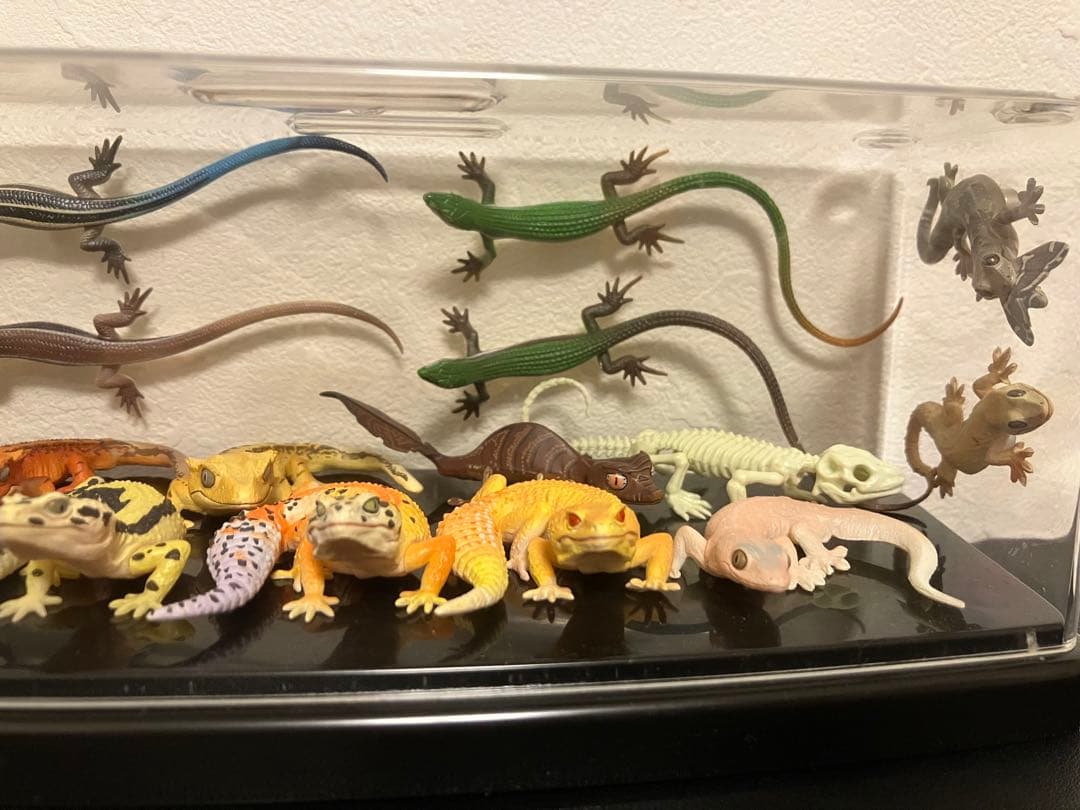 ヒョウモントカゲモドキ　ヤモリ　ガチャガチャ