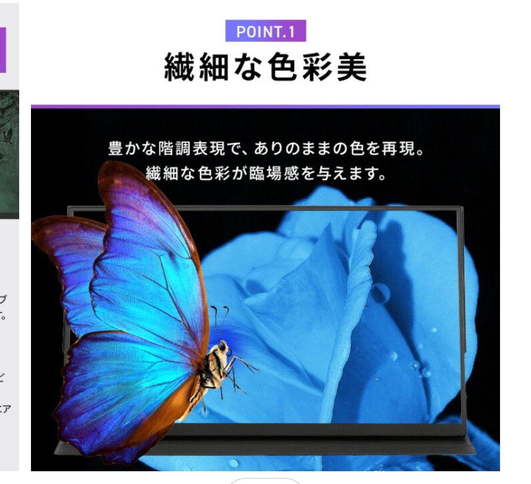 R7年アイリスオーヤマ ポータブルモニター DP-EF184S-B 18.5型